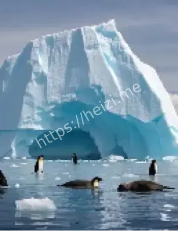 全球最大冰山